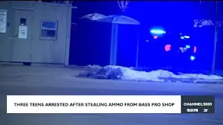 Teens arrested for stealing from Bass Pro Shops