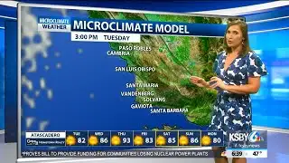 Temperatures remain mild before mid-week warming