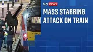 Ten in hospital - nine with life-threatening injuries after stabbing on train