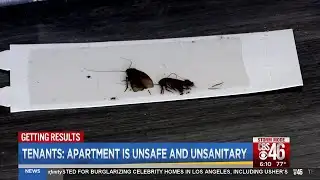 Tenants unhappy with moldy, roach ridden apartment
