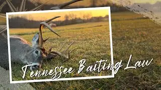 Tennessee Hunting Will Never Be The Same - Baiting Law Passes