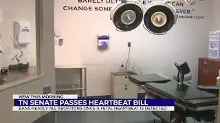 Tennessee lawmakers advance 6-week abortion ban