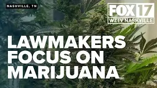 Tennessee lawmakers reignite marijuana policy debate