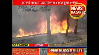 Terrible fire breaks out in Durgapur Bidhan Nagar forest, traffic disrupted