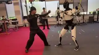 Tesla Optimus Robot Does Kung Fu