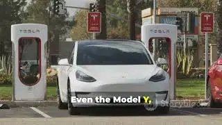 Tesla shares plunge 15%.