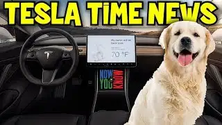 Tesla Time News - Tesla Dog Mode Fixed!