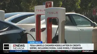 Tesla unveils cheaper versions of popular models