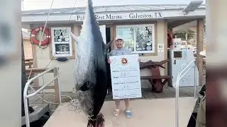 Texas Angler Lands Record 884 Pound Bluefin Tuna