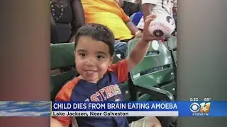 Texas Child Dies From Brain-Eating Amoeba, Disaster Declaration Issued