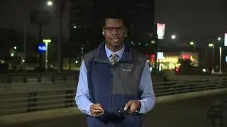 Texas launches $13M spay, neuter and vaccination program to help pets statewide