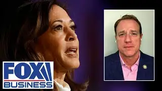 Texas lawmaker emphatically agrees Harris should be subpoenaed in Biden probe