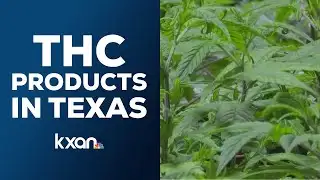 Texas Lawmakers Debate Ban on THC Products & Possible Federal Marijuana Shift