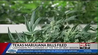 Texas lawmakers push for marijuana legalization
