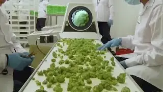 Texas legislature considers marijuana legislation I FOX 7 Austin