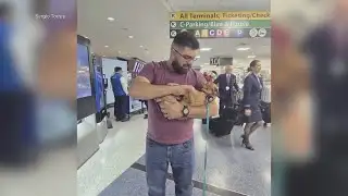 Texas man reunited with pet found thousands of miles away