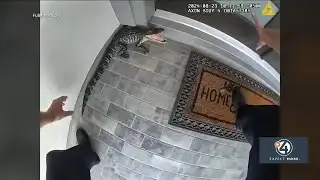 Texas officer caught on camera catching alligator with bare hands