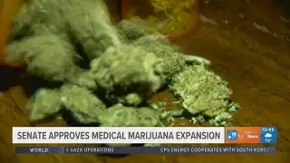 Texas Senate approves medical marijuana expansion