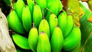 Thandi mein Blog 😆 Kohra ka Kahar sani katari 🥶