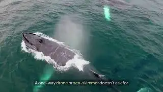 The $1 Trillion Siege: Why the Red Sea is a Ticking Time Bomb