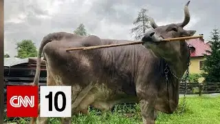 The behavioral breakthrough that