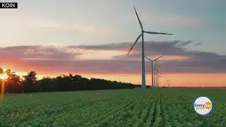 The Best Solution For Climate Change