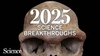 The biggest science breakthroughs of 2025