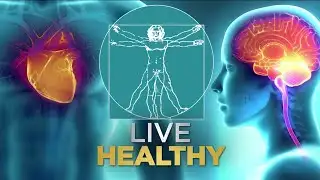 The brain benefits a new study found for moderate drinkers