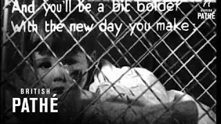 The Casani Club Orchestra (1933)