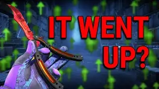 The CS2 Market didnt "CRASH"?