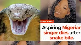 The easiest way to protect yourself from snake 🐍 bite. 