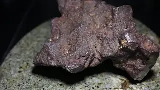 The Edmore Meteorite up close