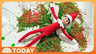 The Elf on the Shelf Tradition Marks 20th Anniversary Milestone