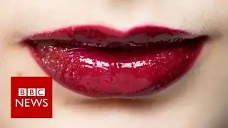 The EU in 10 Objects: Lipstick - BBC News