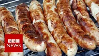 The EU in 10 Objects: The sausage - BBC News