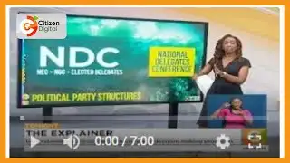 THE EXPLAINER | Understanding political party structure and decision making processes