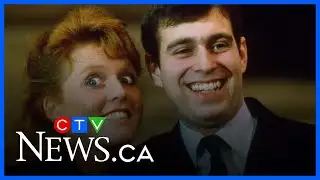 ‘The fallout is continuing’: Andrew and Sarah Ferguson face backlash after Epstein revelations