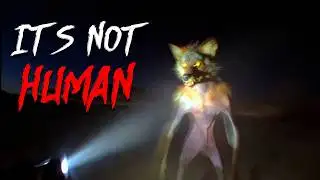 The Forbidden Truth about Skinwalkers