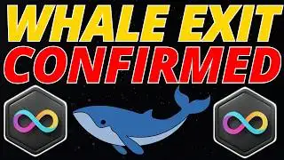 The ICP Whale Exit Is Happening (Data Proof) #icpcrypto