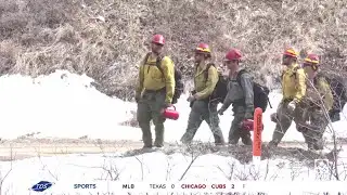 The importance of prescribed burns