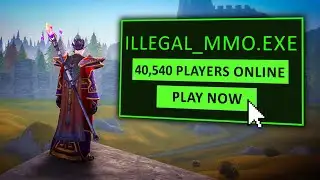 The INSANE Popularity Of MMO Private Servers