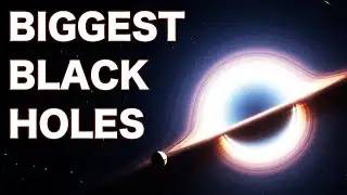 The Largest Black Hole IS NOT Phoenix A*