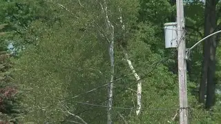 The legislature pushes forward a  bill to replace CMP and Versant power