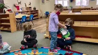 The Montessori News