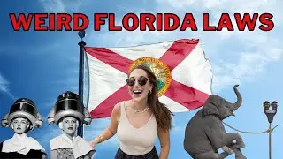 THE MOST BIZARRE FLORIDA LAWS! | Megan Explores It All