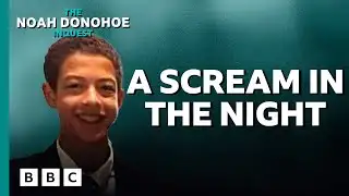 The Noah Donohoe Inquest: 9. A scream in the night