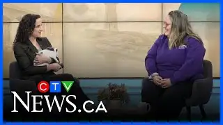 The Nova Scotia SPCA looks back on 2025