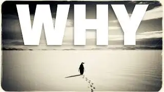 The penguin who chose death over life !!! | #hindi