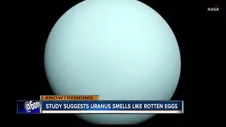 The Planet Uranus Stinks