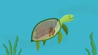 The Problem With Ocean Plastic | Canadian Geographic